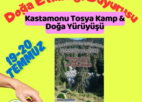 Kastamonu Tosya Kamp & Doğa Yürüyüşü