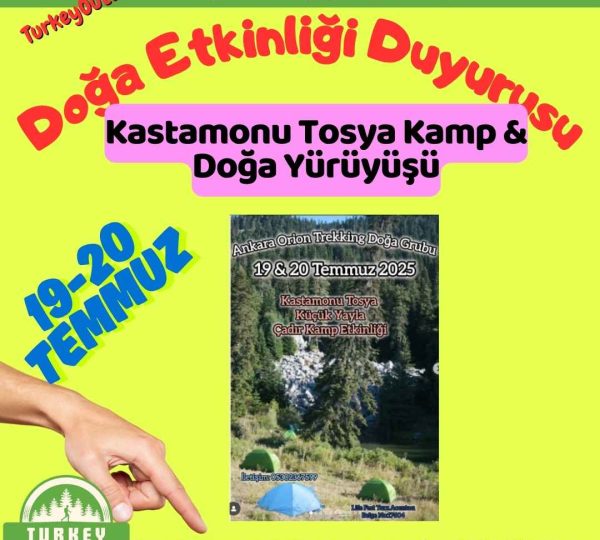 Kastamonu Tosya Kamp & Doğa Yürüyüşü