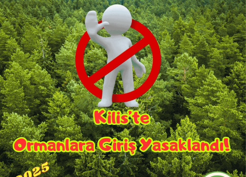 Kilis’te Ormanlara Girişler Yasaklandı!