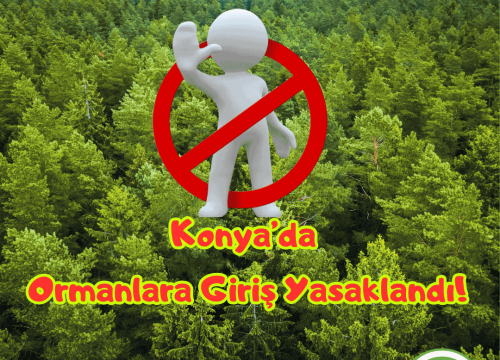 Konya’da Ormanlara Giriş Yasaklandı!