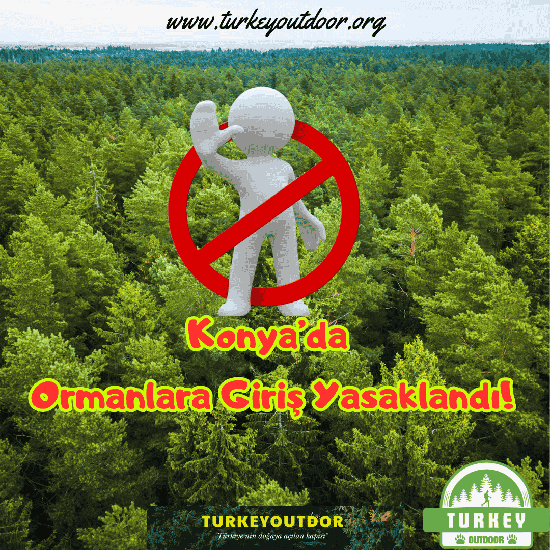 Konyada Ormanlara Giriş Yasaklandı!