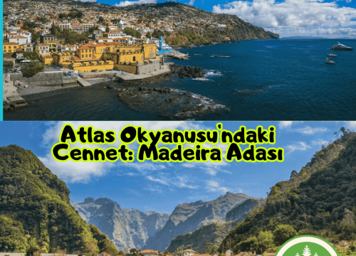 Atlas Okyanusu’ndaki Cennet: Madeira Adası