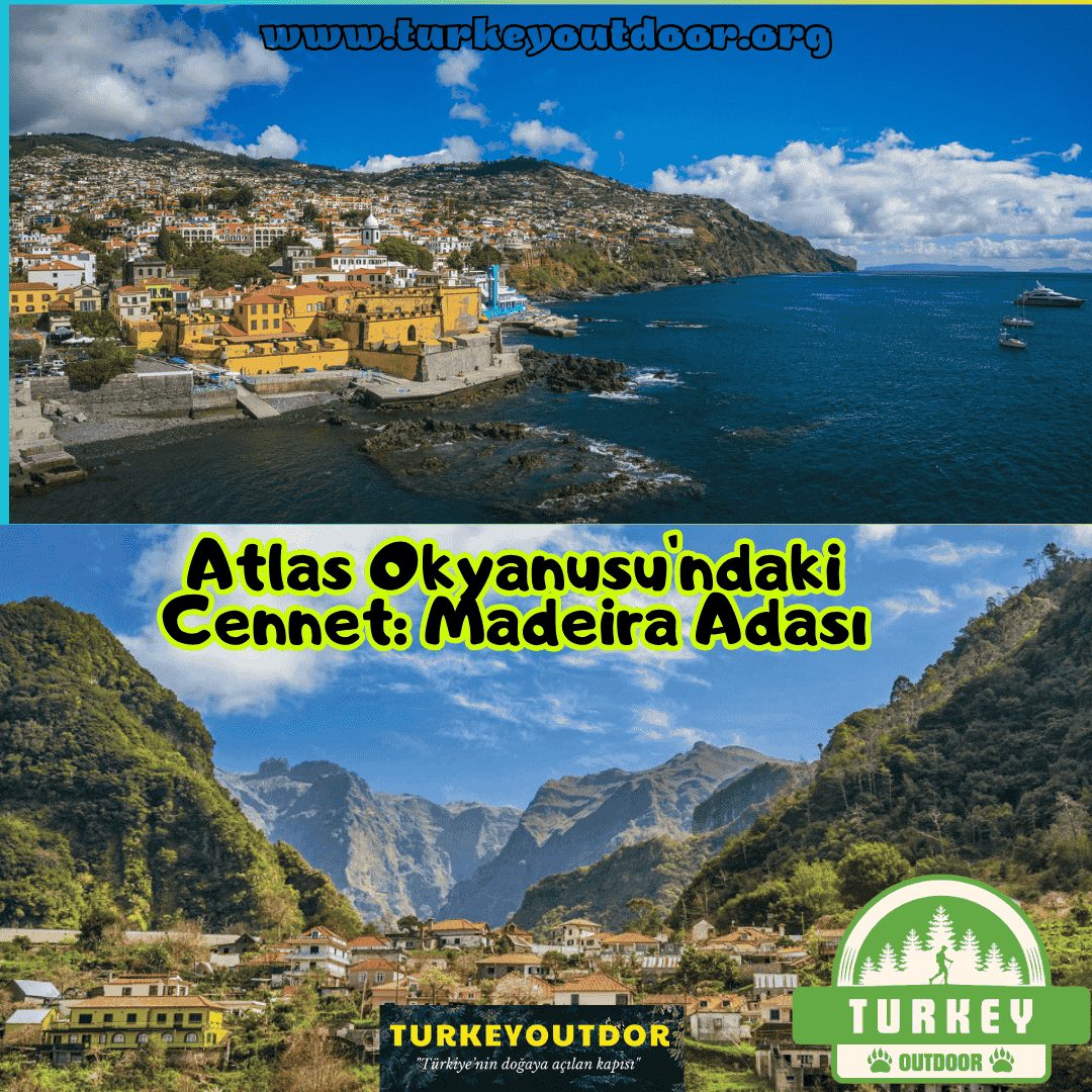 Madeira Adası