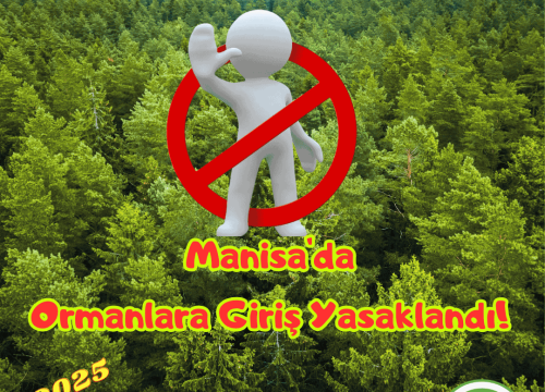 Manisa’da Ormanlara Girişler Yasaklandı!