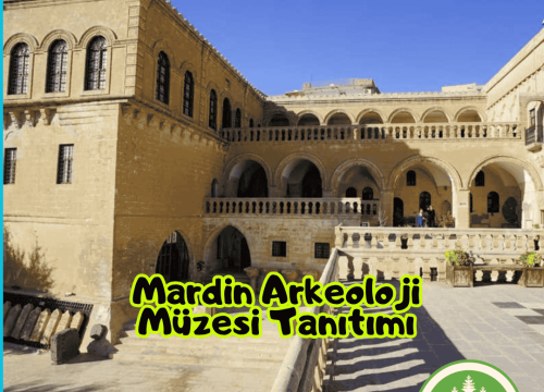 Mardin Arkeoloji Müzesi