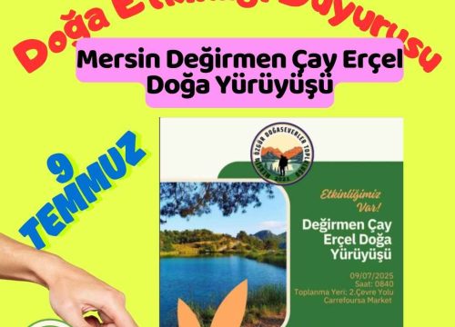 Mersin Değirmen Çay Erçel Doğa Yürüyüşü