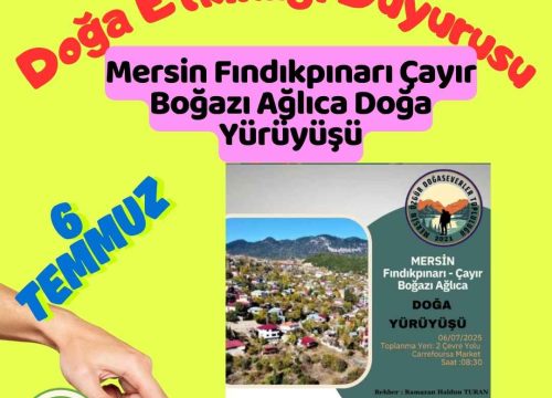 Mersin Fındıkpınarı Çayır Boğazı Ağlıca Doğa Yürüyüşü