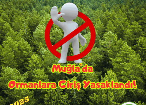 Muğla’da Ormanlara Girişler Yasaklandı! #8
