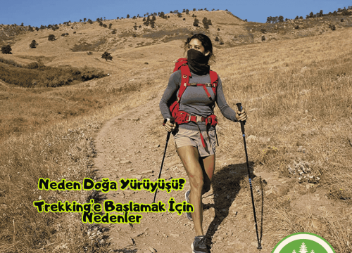 Neden Doğa Yürüyüşü? Trekking’e Başlamak İçin Nedenler