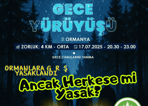 47 İlde Ormanlara Giriş Yasaklandı: Ancak Herkese mi Yasak?