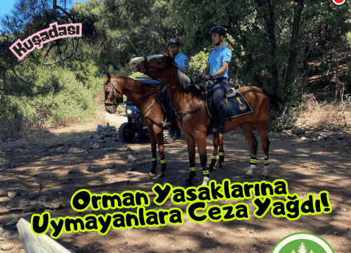 Orman Yasaklarına Uymayanlara Ceza Yağdı!