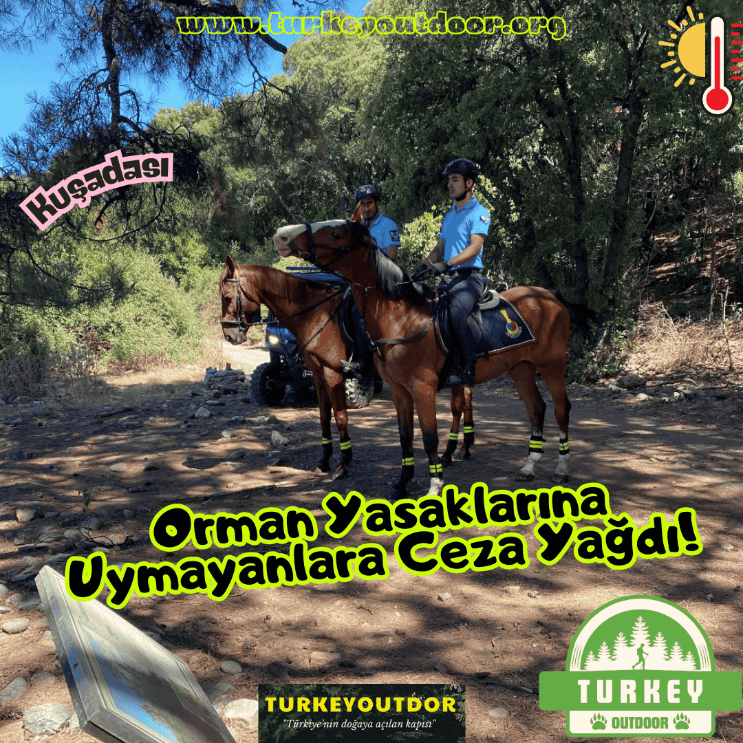 Orman Yasaklarına Uymayanlara Ceza Yağdı!