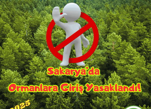 Sakarya’da Ormanlara Girişler Yasaklandı!