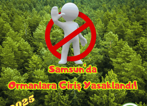 Samsun’da Ormanlara Girişler Yasaklandı!