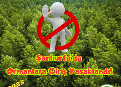 Şanlıurfa’da Ormanlara Girişler Yasaklandı!