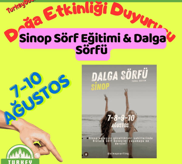 Sinop Sörf Eğitimi & Dalga Sörfü