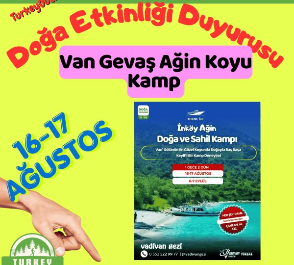 Van Gevaş Ağin Koyu Kamp