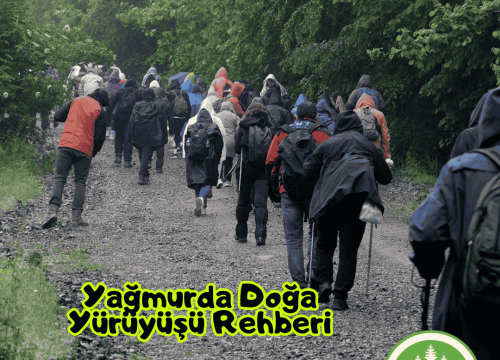 Yağmurda Doğa Yürüyüşü Rehberi