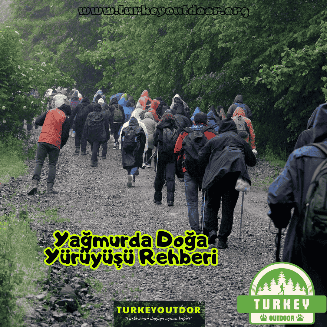 Yağmurda Doğa Yürüyüşü Rehberi
