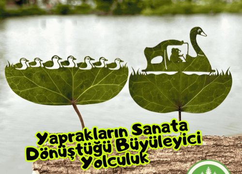Yaprakların Sanata Dönüştüğü Büyüleyici Yolculuk