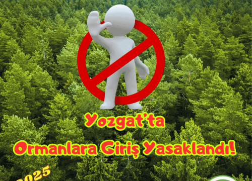 Yozgat’ta Ormanlara Girişler Yasaklandı!