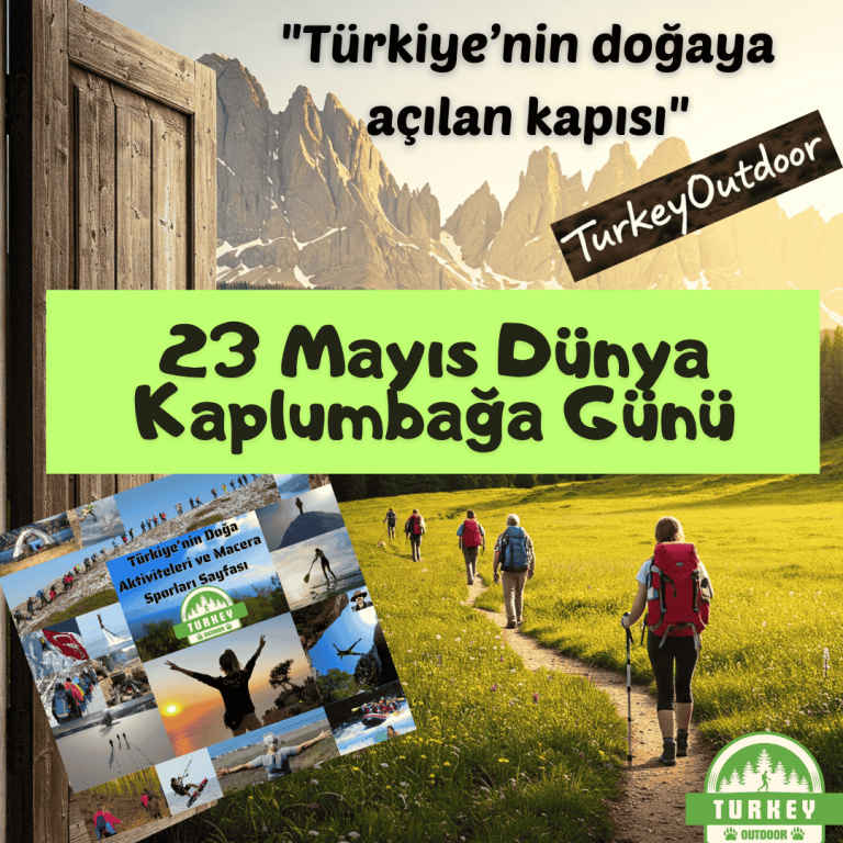 23 Mayıs Dünya Kaplumbağa Günü