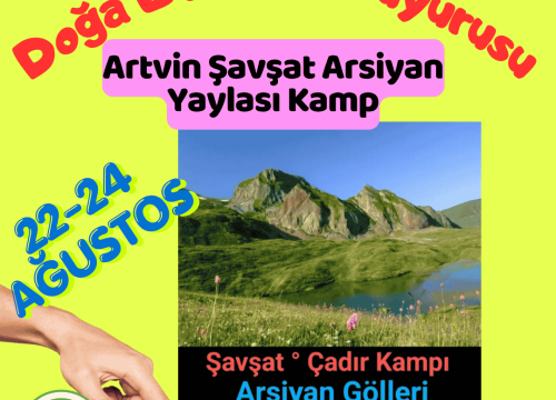 Artvin Şavşat Arsiyan Yaylası Kamp