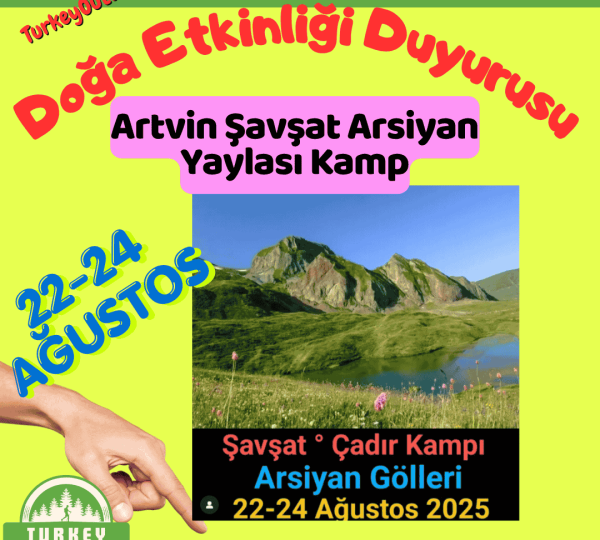 Artvin Şavşat Arsiyan Yaylası Kamp