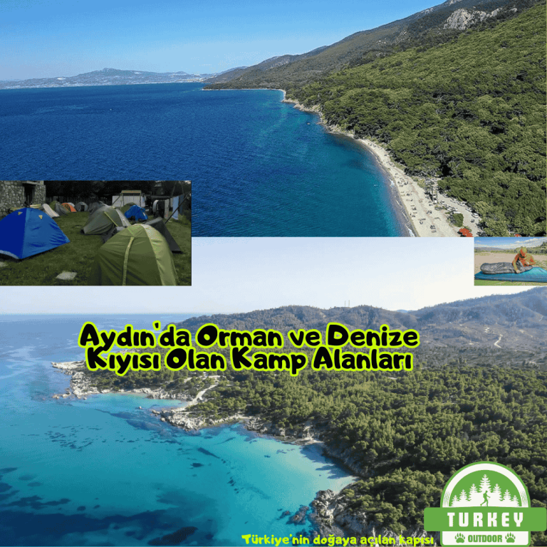 Aydında Orman ve Denize Kıyısı Olan Kamp Alanları