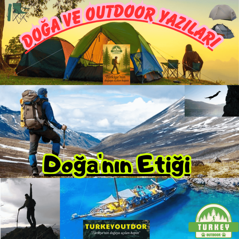 Doğa Etiği