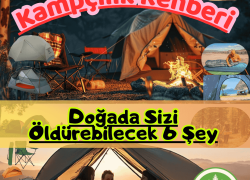 Doğada Sizi Öldürebilecek 6 Şey
