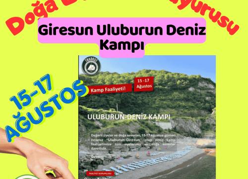 Giresun Uluburun Deniz Kampı
