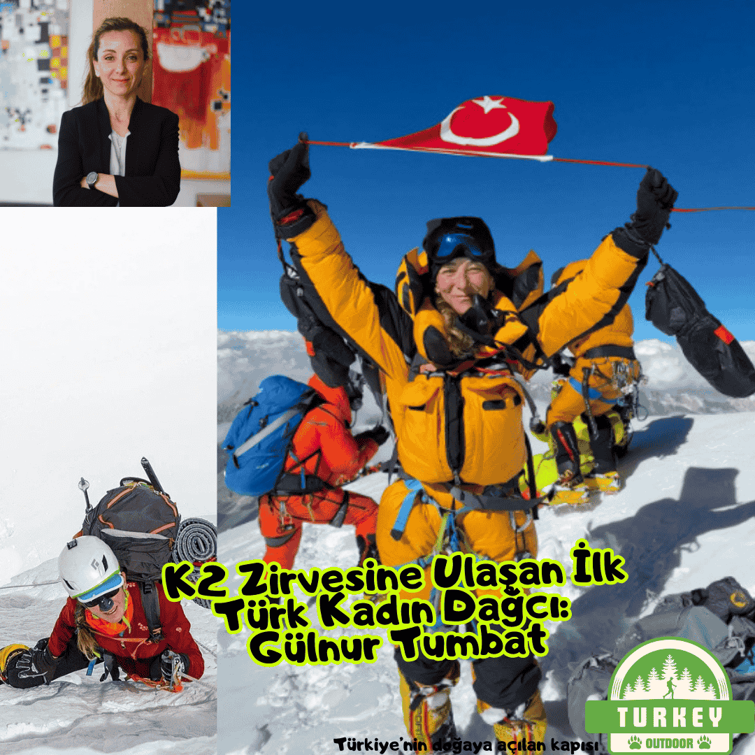 Gülnur Tumbat