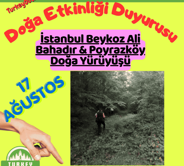 İstanbul Beykoz Ali Bahadır & Poyrazköy Doğa Yürüyüşü