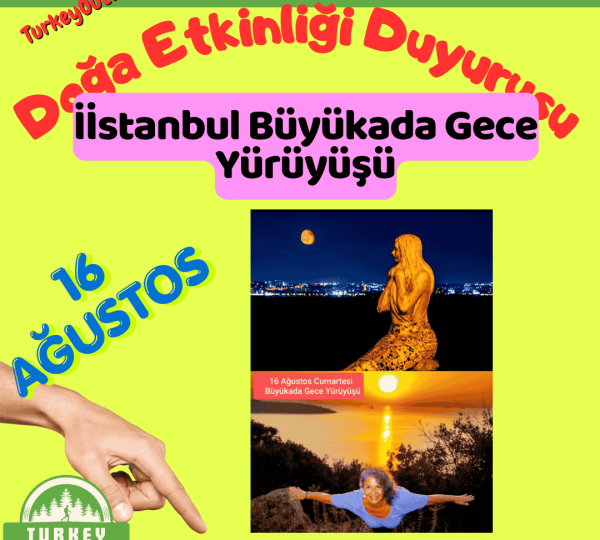 İstanbul Büyükada Gece Yürüyüşü (1)