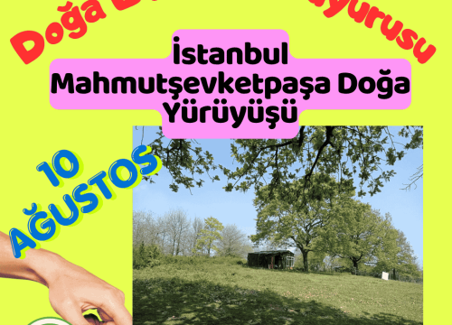 İstanbul Mahmutşevketpaşa Doğa Yürüyüşü