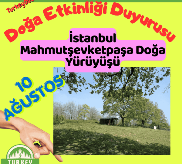 İstanbul Mahmutşevketpaşa Doğa Yürüyüşü