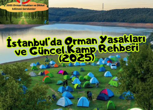 İstanbul’da Orman Yasakları ve Güncel Kamp Rehberi