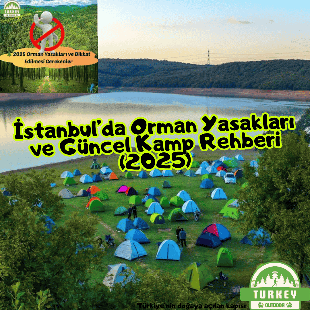 İstanbul’da Orman Yasakları ve Güncel Kamp Rehberi