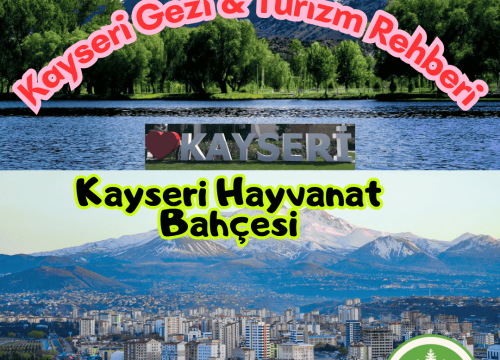 Kayseri Hayvanat Bahçesi Tanıtımı ve Gezi Rehberi