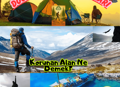 Korunan Alan Ne Demek?