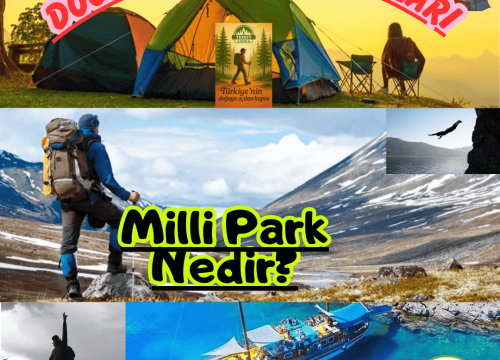 Milli Park Nedir?
