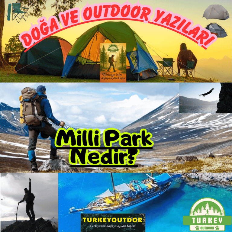 Milli Park Nedir