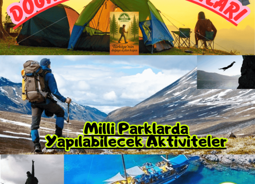 Milli Parklarda Yapılan Aktiviteler