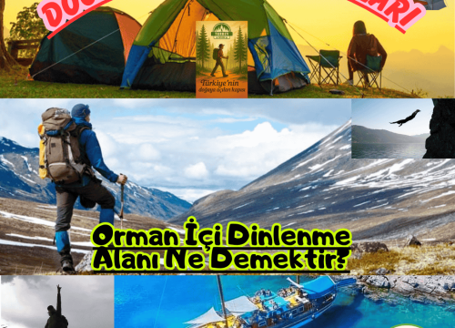 Orman İçi Dinlenme Alanı Ne Demektir?