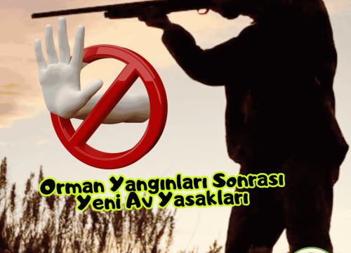 Orman Yangınları Sonrası Yeni Av Yasakları