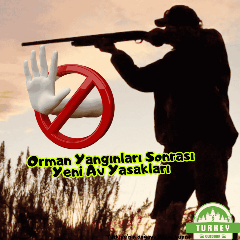 Orman Yangınları Sonrası Yeni Av Yasakları