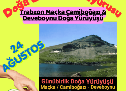 Trabzon Maçka Camiboğazı & Deveboynu Doğa Yürüyüşü