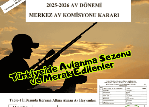 Türkiye’de Avcılık, Avlanma ve Merak Edilenler