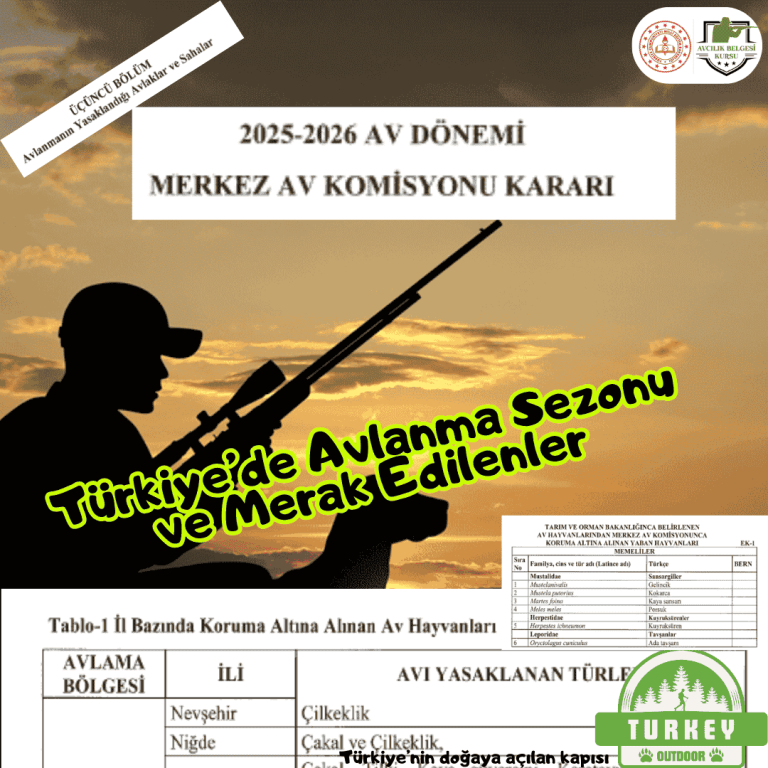 Türkiyede Avcılık, Avlanma ve Merak Edilenler